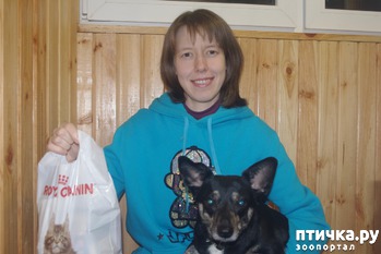 фотография: Выигрыш подарка для собаки от магазина Animals в Черную Пятницу фото: Выигрыш подарка для собаки от магазина Animals в Черную Пятницу