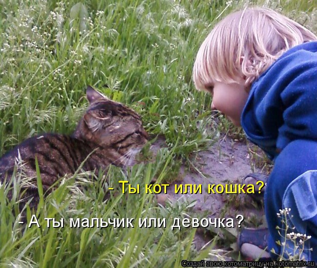 ���� 14: ����������� � �������: ��� ����� ��� �����!