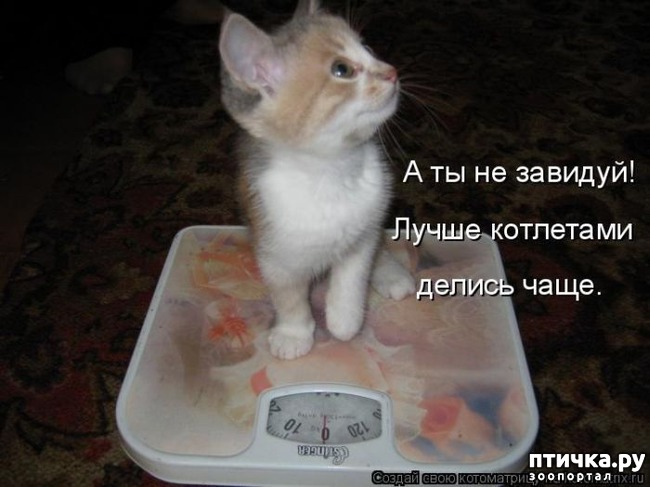 ���� 15: ����������� � �������: ��� ����� ��� �����!