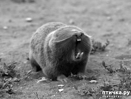 ���� 5: 10 ���������� ������ � ��������