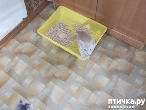 фото: Каким ты был... чудище моё ненаглядное...