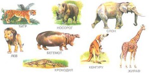 ����: 10 ���������� ������ � ��������