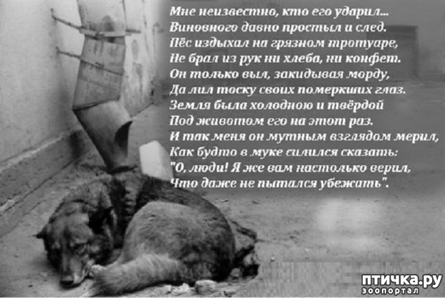 ���� 4: ������������� "��-��"