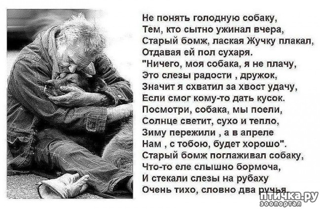 ���� 5: ������������� "��-��"