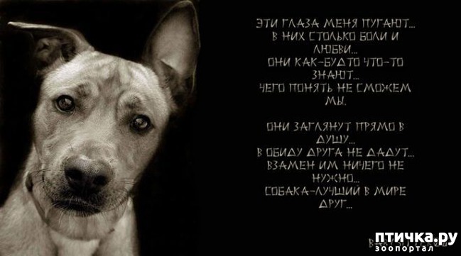 ���� 6: ������������� "��-��"