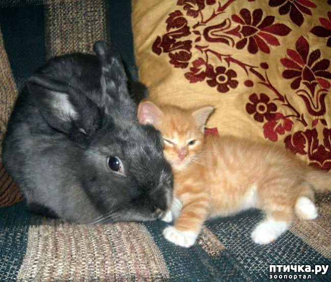 ���� 1: ����� �...