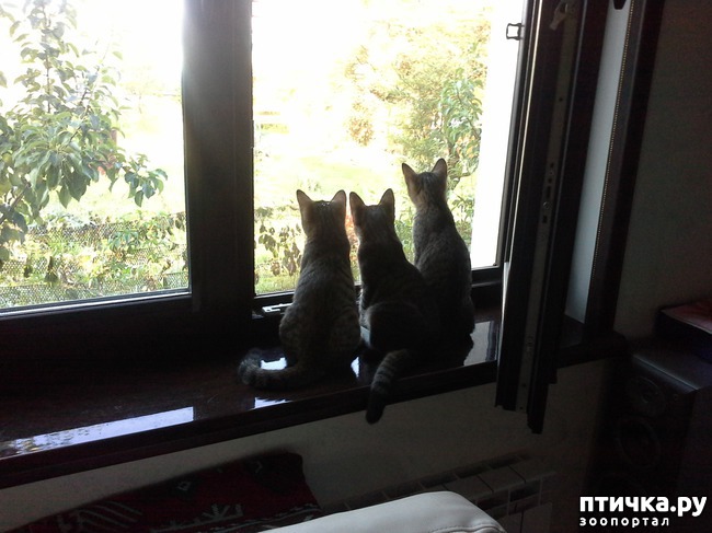 ���� 1: ����