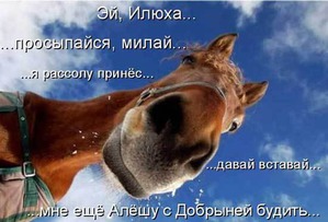 ����: ������� ���������, ��� ������������!