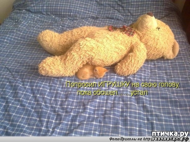 ���� 1: ������� �������� � �������� ��������� �����������