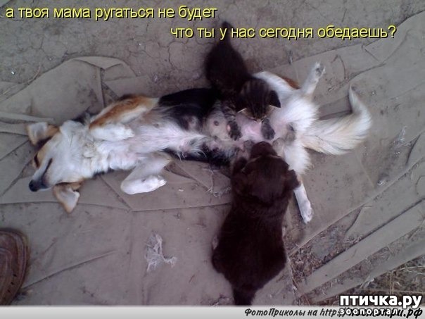 ���� 2: ������� �������� � �������� ��������� �����������