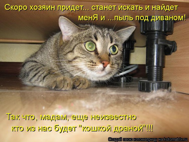 ���� 1: ����������� � �������: ��� ����� ��� �����!