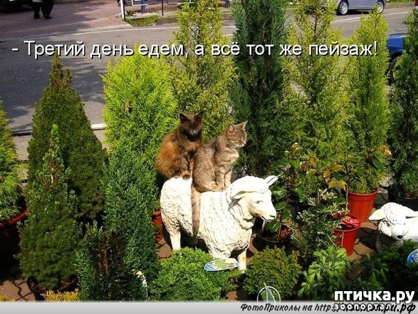 ���� 3: ������� �������� � �������� ��������� �����������