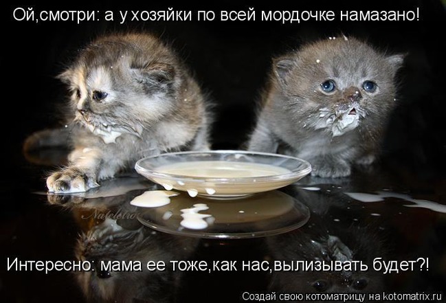 ���� 2: ����������� � �������: ��� ����� ��� �����!