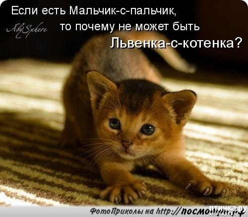 ���� 4: ������� �������� � �������� ��������� �����������