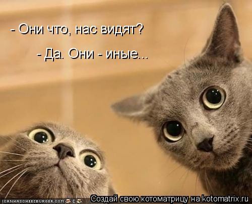 ���� 3: ����������� � �������: ��� ����� ��� �����!