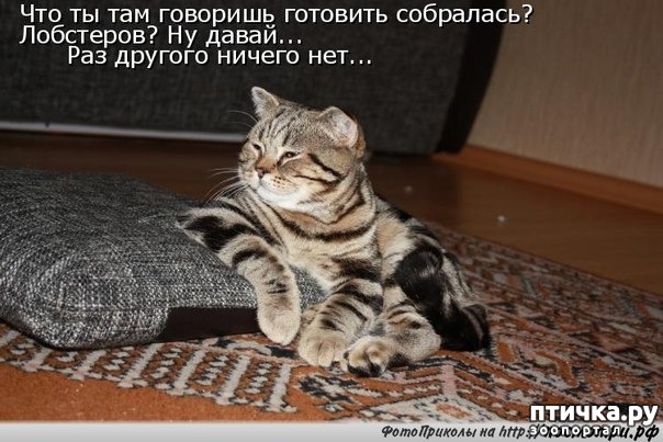 ���� 5: ������� �������� � �������� ��������� �����������