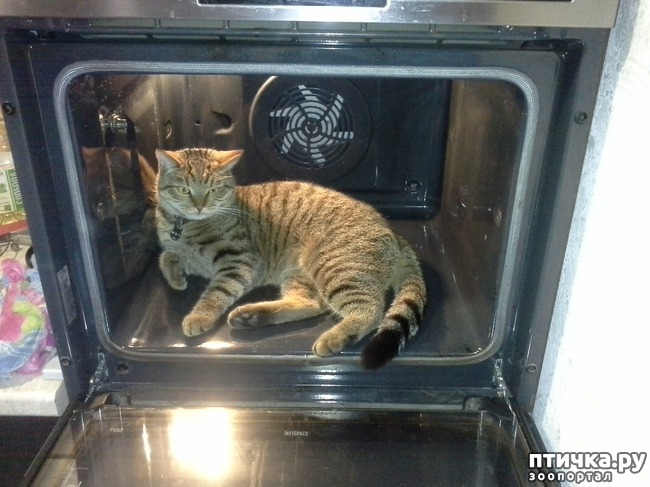 ���� 3: ����