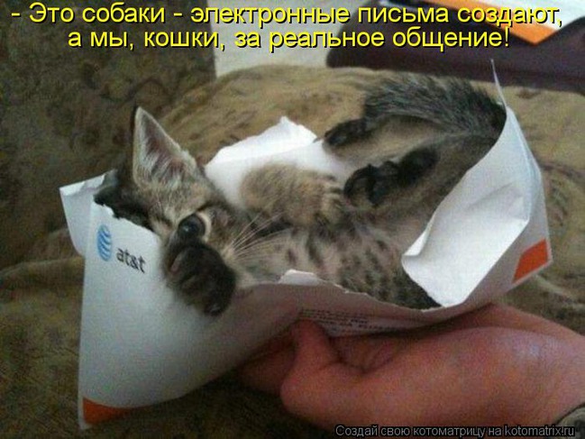 ���� 4: ����������� � �������: ��� ����� ��� �����!