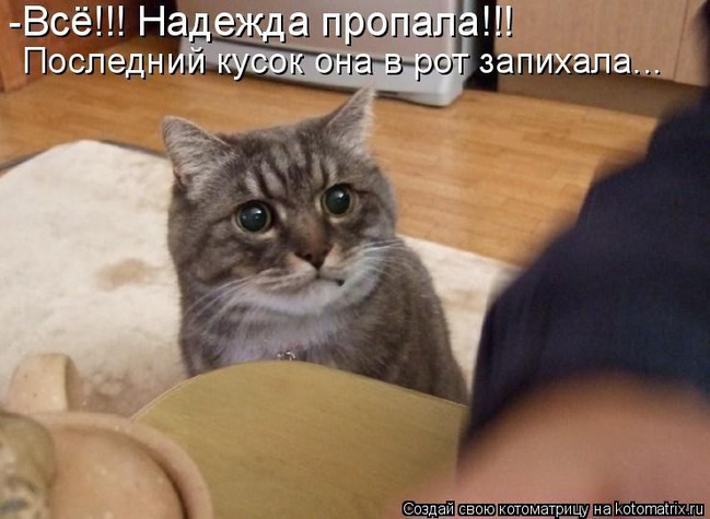 ���� 5: ����������� � �������: ��� ����� ��� �����!