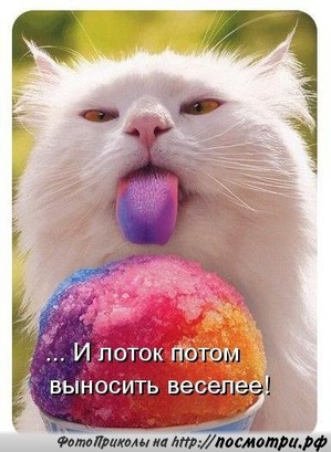 ����: ������� �������� � �������� ��������� �����������