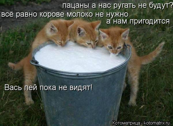 ���� 6: ����������� � �������: ��� ����� ��� �����!