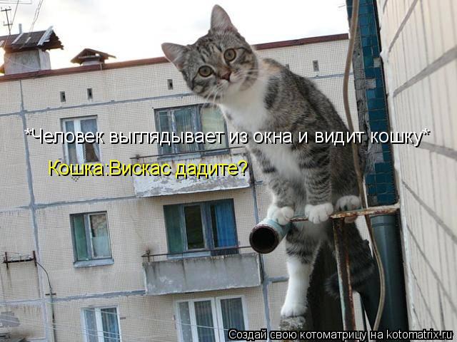 ���� 8: ����������� � �������: ��� ����� ��� �����!