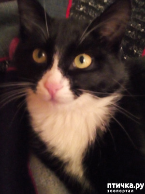 ����: ��� � ������� ����