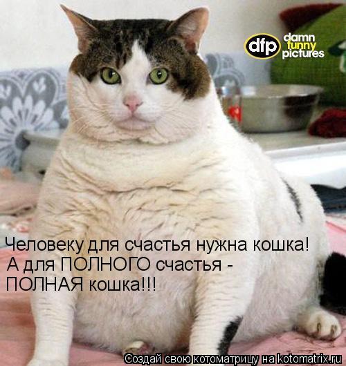 ���� 9: ����������� � �������: ��� ����� ��� �����!