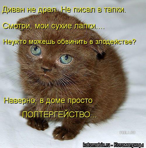 ���� 10: ����������� � �������: ��� ����� ��� �����!