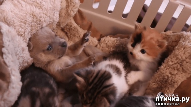 ���� 1: ������ �� ��� ����: ������� ����� ������� ������������ �������