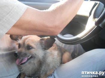 ����: ������� ����� � ������.