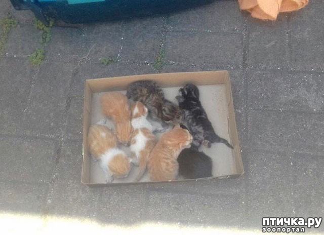 ���� 1: 7 ������������� �����, ��������� � �����