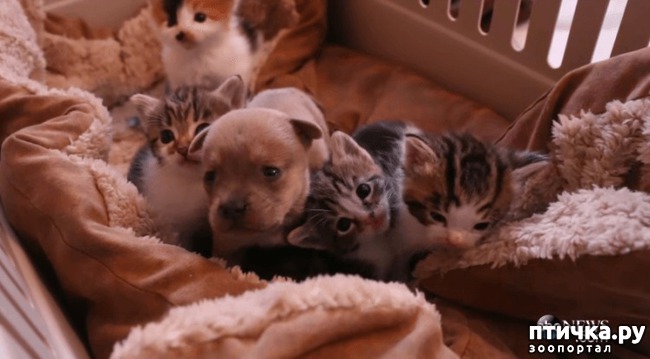 ���� 2: ������ �� ��� ����: ������� ����� ������� ������������ �������