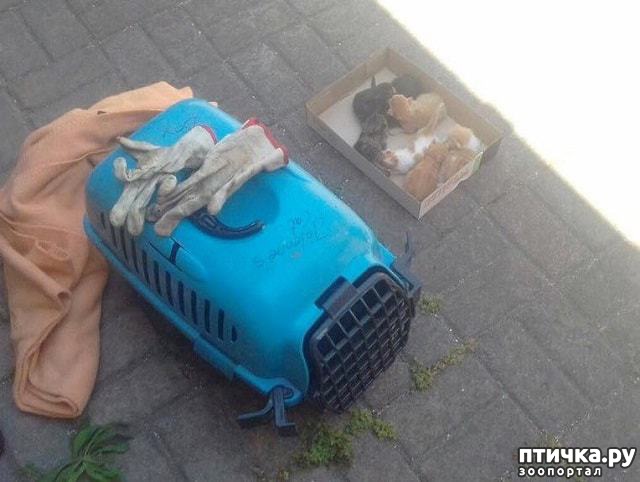 ���� 2: 7 ������������� �����, ��������� � �����