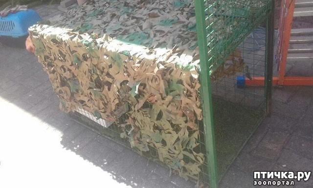 ���� 3: 7 ������������� �����, ��������� � �����