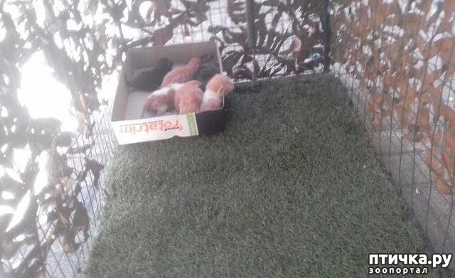 ���� 4: 7 ������������� �����, ��������� � �����