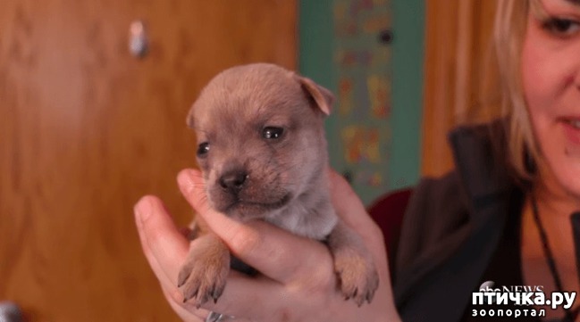 ���� 3: ������ �� ��� ����: ������� ����� ������� ������������ �������