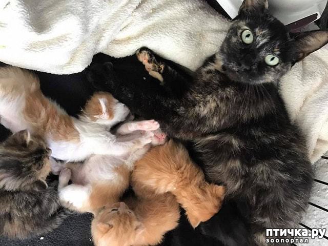 ���� 5: 7 ������������� �����, ��������� � �����