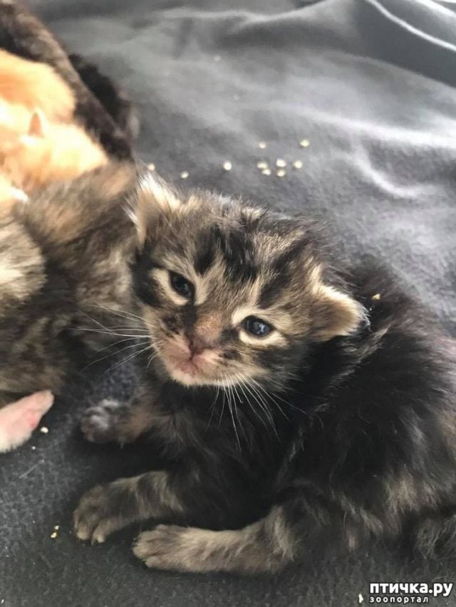 ���� 7: 7 ������������� �����, ��������� � �����