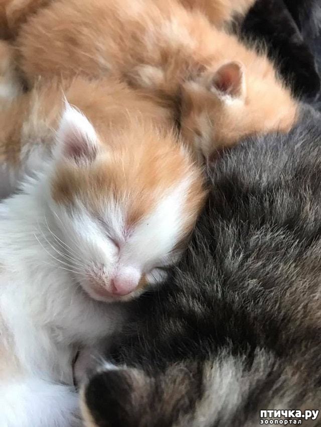 ���� 8: 7 ������������� �����, ��������� � �����