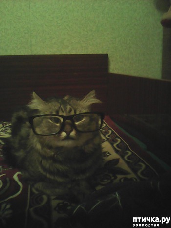 ����: ����� �� ��������