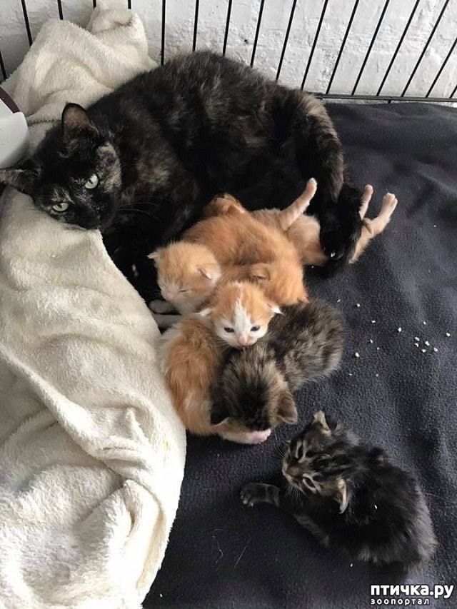 ���� 9: 7 ������������� �����, ��������� � �����