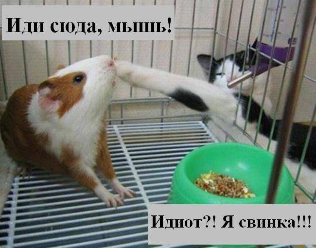 ���� 2: �����������: ����� �...