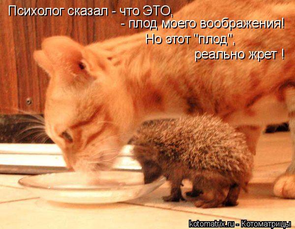 ���� 3: �����������: ����� �...