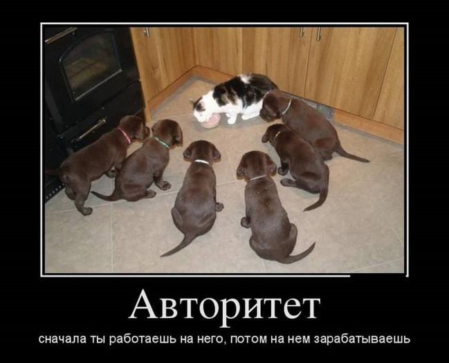 ���� 4: �����������: ����� �...