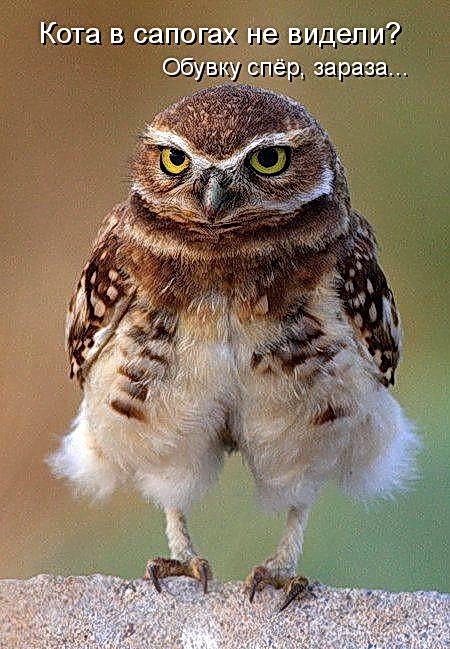 ���� 8: �����������: ����� �...