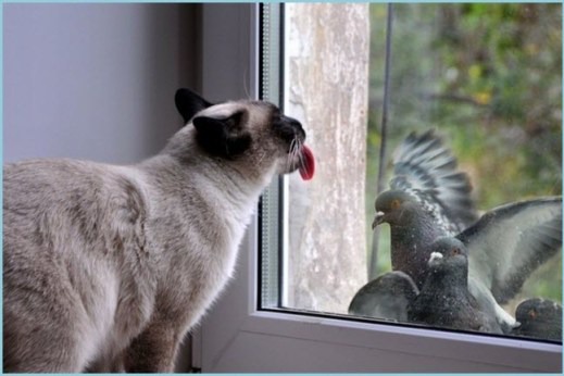 ���� 9: �����������: ����� �...