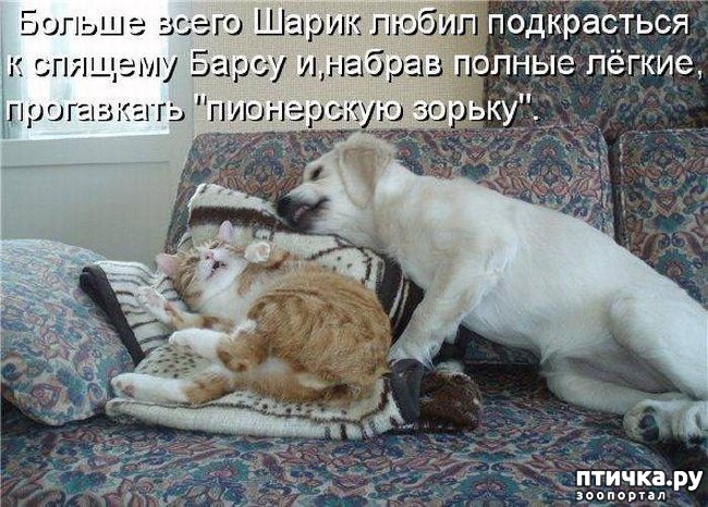 ���� 10: �����������: ����� �...