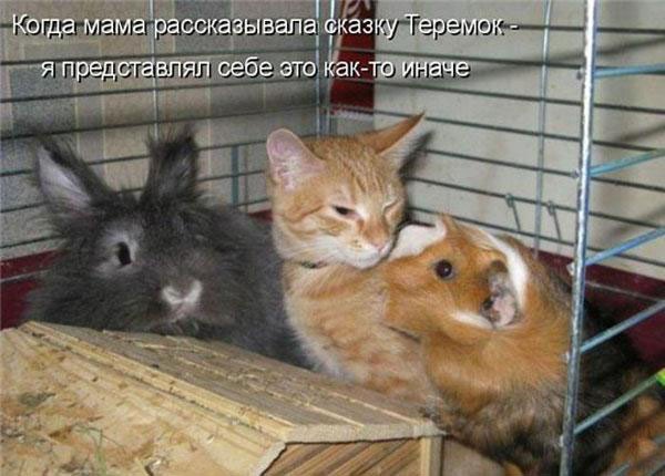 ���� 12: �����������: ����� �...