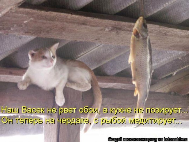 ���� 13: �����������: ����� �...